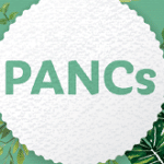 Banner PANCs