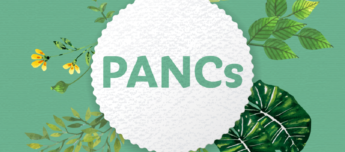Banner PANCs