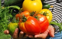 pessoa segurando legumes nas mãos