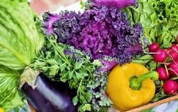 caixa com verduras e legumes