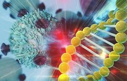 DNA e Células