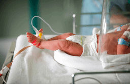 Bebê prematuro ainda sob cuidados médicos
