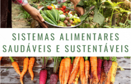 Banner Curso de Sistemas Alimentares Saudáveis e Sustentáveis USP