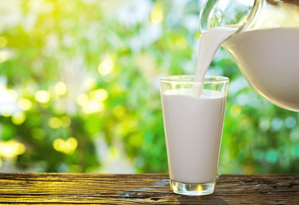 proteína do leite combate SARS-CoV-2