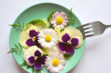 Fibras e proteínas de flores comestíveis