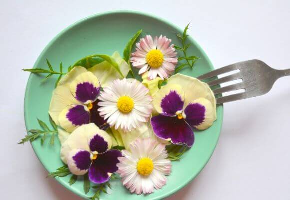 Fibras e proteínas de flores comestíveis