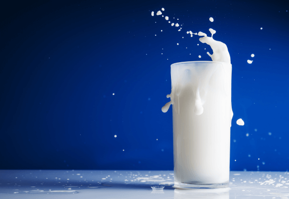 consumo de leite de vaca