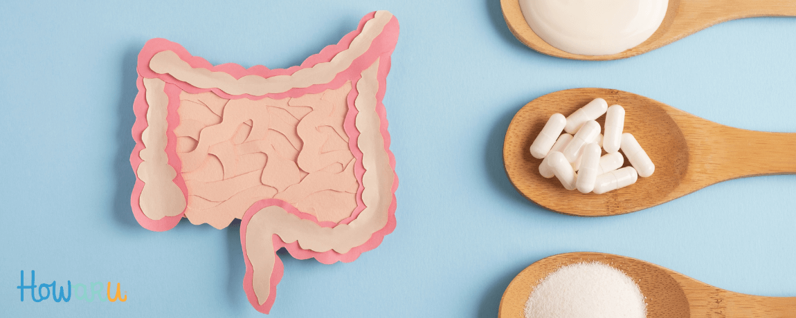 probióticos e saúde digestiva