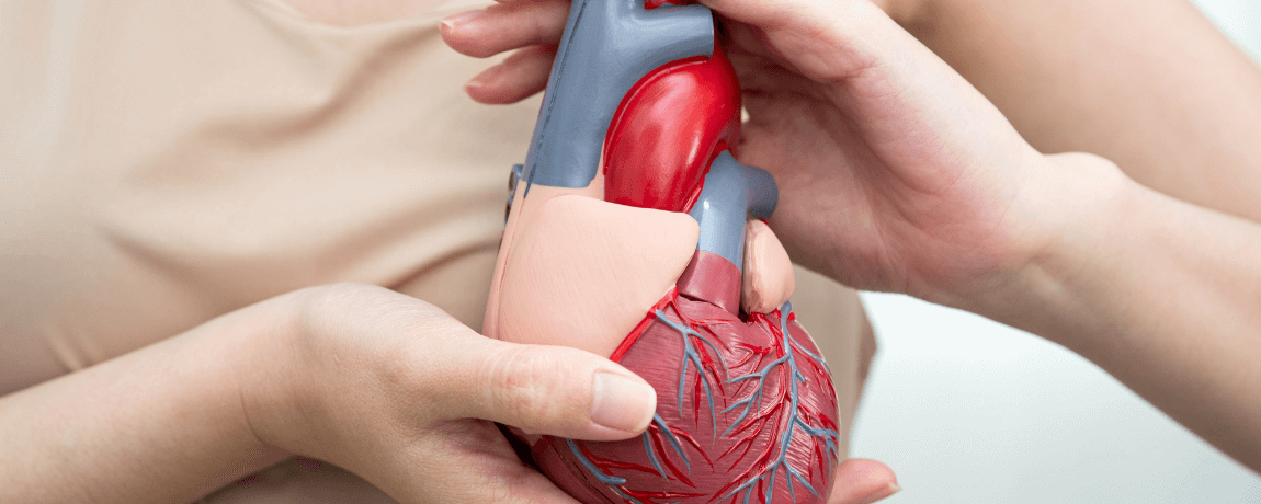 horário das refeições