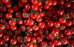 Tomates, alimentos ricos em licopeno