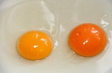 Duas gemas de ovos cruas