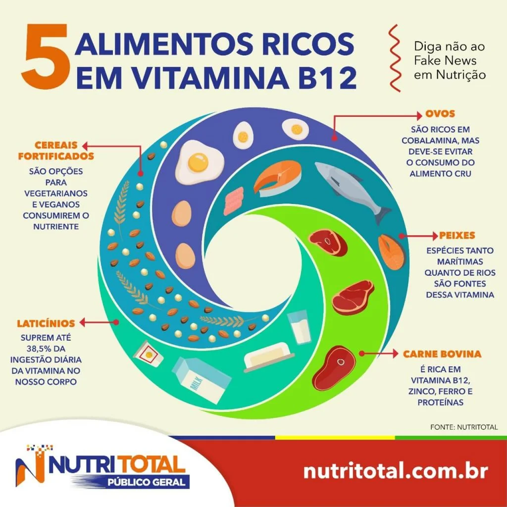 Infográfico 5 alimentos ricos em vitamina B12