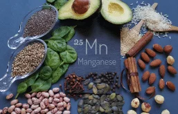 Alimentos ricos em manganês